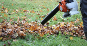 Cleanup