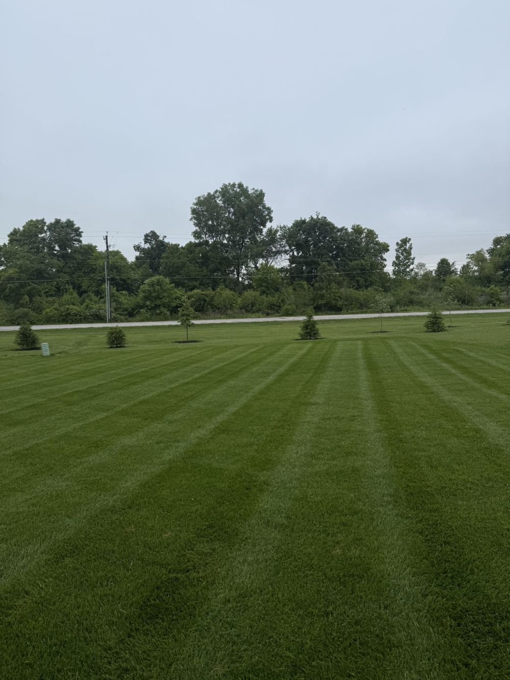 Garden pathway