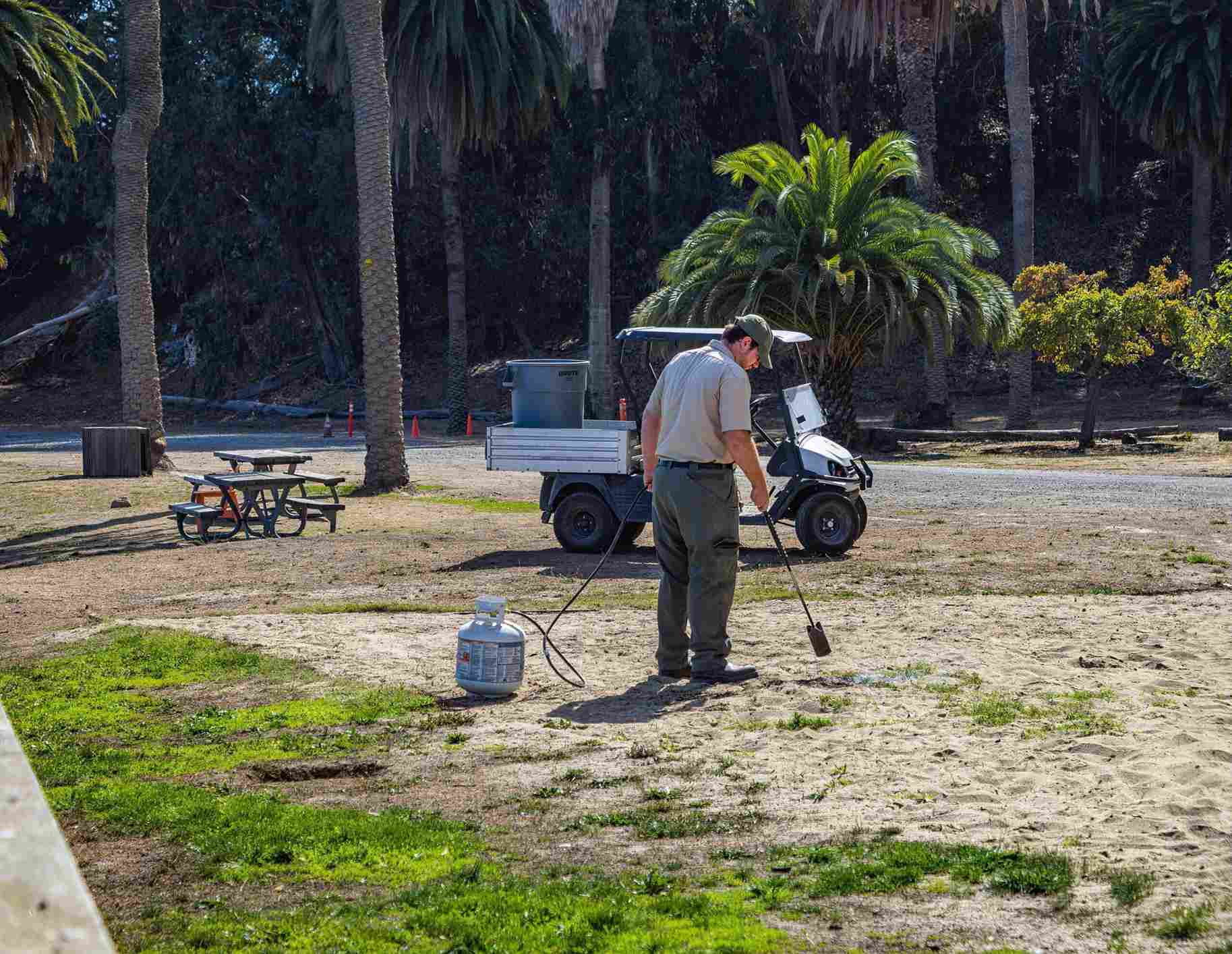 Lawn care worker