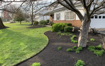 Mulch application